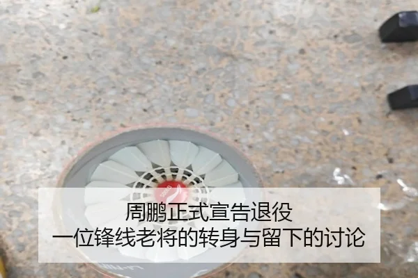 周鹏正式宣告退役 一位锋线老将的转身与留下的讨论 | hth